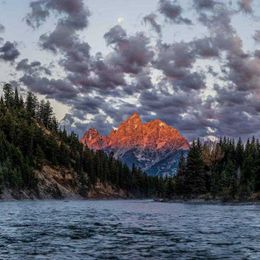 When gondola storage becomes an art gallery