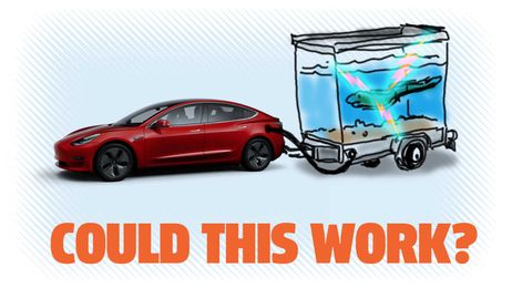 Let's Find Out If Using Electric Eels To Charge Your Tesla Is A Good Idea