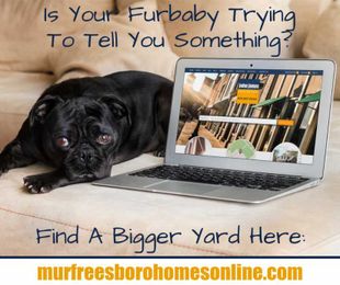 Furbaby Friendly Fenced Properties
