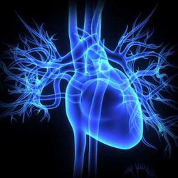 Mammography can identify cardiovascular disease