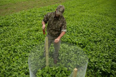 How to Use and Build Food Plot Utilization Cages