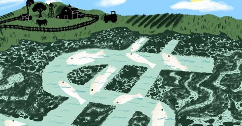 Polluting Farmers Should Pay