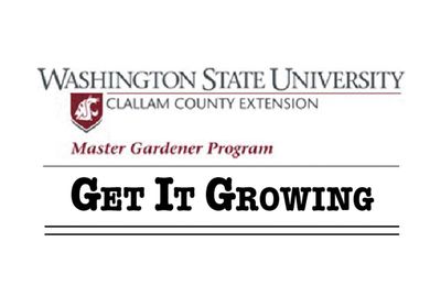 Get It Growing: Why do fruit trees fail to bear?