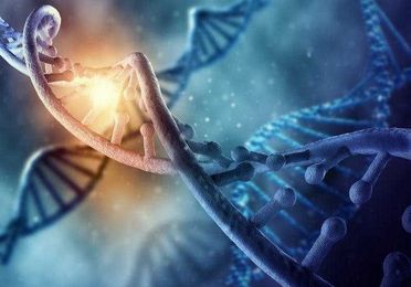 New landmark study finds that genetics influences sexual orientation