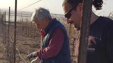 Two wines, one Enigma: An Israeli winemaker makes wines in two worlds