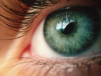 Reasons Why You May Have a Blind Spot in Your Eye