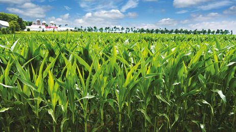 Why farmers should consider farm manure separation?