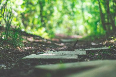 Are You a Stepping or a Stopping Stone?