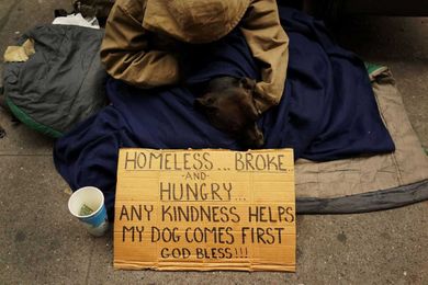 Analyzing the Benefits of Pet Ownership Among Homeless People