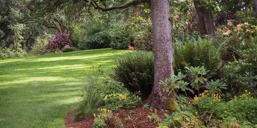 Design a Yard Your Plants Will Love