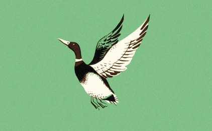 Managing customer service staff: 10 ways to turn ducks into eagles