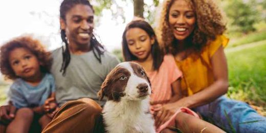 Healthy Pets, Healthy People ǀ Tips to keep people and pets healthy