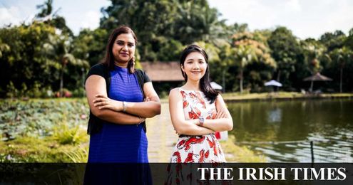 No substitute for taste: how the clean meat industry is finding its flavours