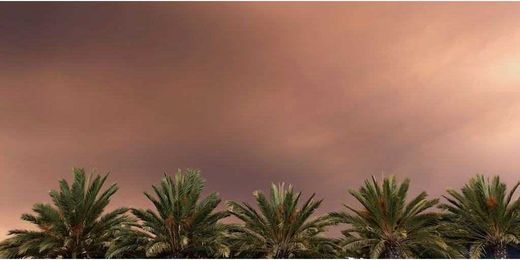4 Self Storage Tips for Humid Climates