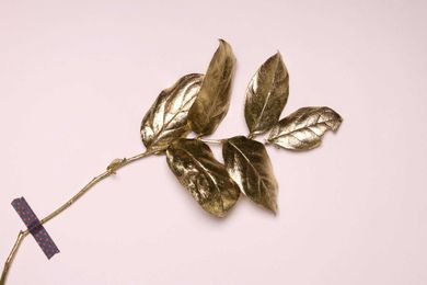 Answers to Your Questions about Plating — Reclaim, Recycle, and Sell your Precious Metal Scrap