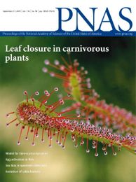 GeneFishing to reconstruct context specific portraits of biological processes