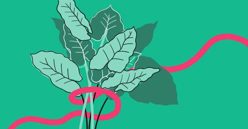 Are You Still a Plant Parent If You Have Only One Plant?