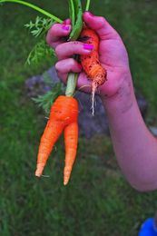 Earth Matters: Eat Ugly (and Slash Food Waste)