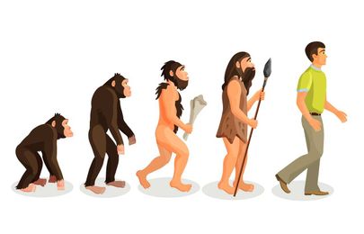 Why Jeffrey Epstein loved evolutionary psychology