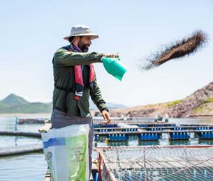 Farmed Seafood: Fact vs. Fiction