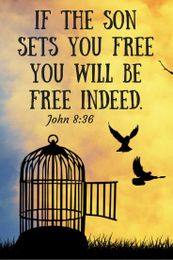 You are Made to be Free