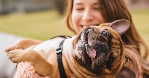 5 Pet-Related Tax Deductions We Bet You Didn't Know Of