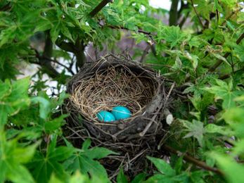 3 Ways to Prepare for an Empty Nest