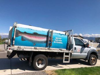 Something smells fishy, and it might be your community pond being restocked