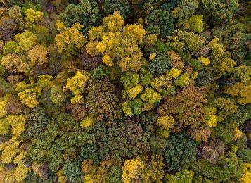 When will Eastern Iowa hit peak fall color?