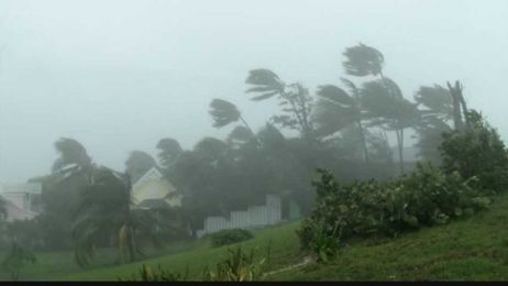 Does your insurance cover a natural disaster?