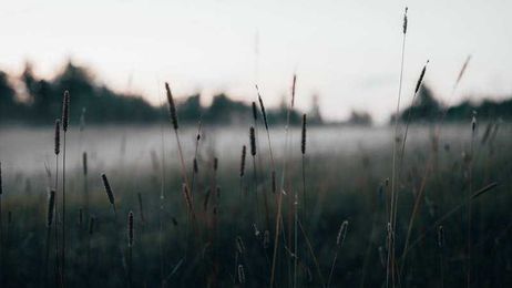 Never Be Ashamed to Seek Heaven: Why Some Drag Their Feet to Paradise