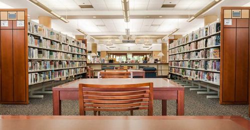 Why Libraries Are Eliminating Late Fees for Overdue Books