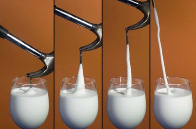 Engineers developed a mathematical model of Ooblek