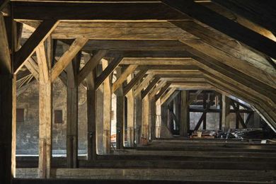 Who or what is in your attic?