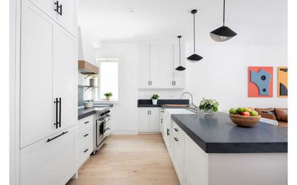 Design Trend: Painted Kitchen Cabinets are Here to Stay