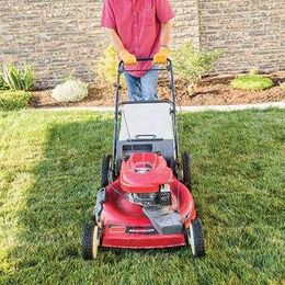 5 Fall Tips for a Healthy Yard