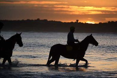 Should We Ban Horse Back Riding In The Bay?