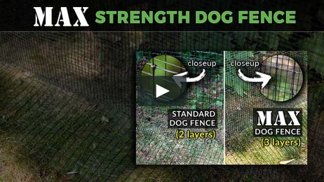 Should you get a MAX Dog Fence? in Pet Playgrounds