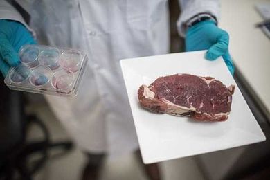 As the lab-grown meat industry grows, scientists debate if it could exacerbate climate change