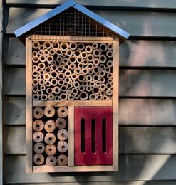 How to care for native bee houses