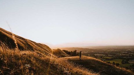 Argue with Your Pride