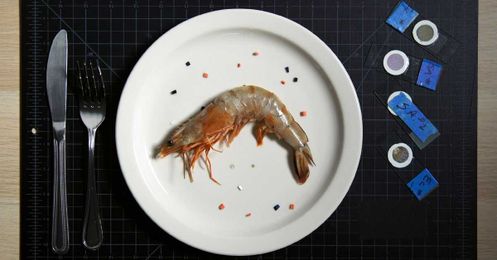 Hunting for microplastics in your seafood