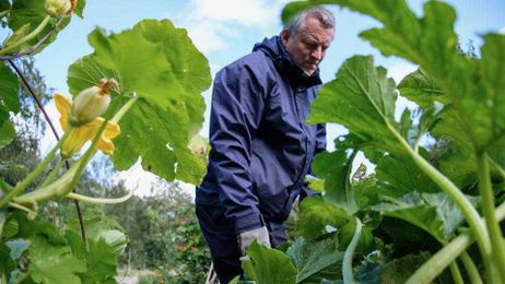 The city trying to make urban living good for your health