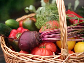 Gardening: Preserve your bounty by freezing garden produce