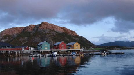 Harnessing business purpose to safeguard our oceans