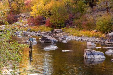 Fall Fly Fishing Tips to Make Your Laramie Visit Even Better!