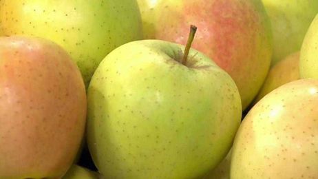 Produce Pete: Northeast Apples