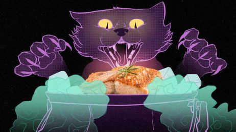 Cooking with dry ice is a gas