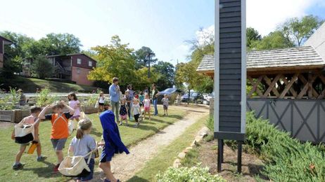Fake chimneys for birds that need vertical hollows to rest