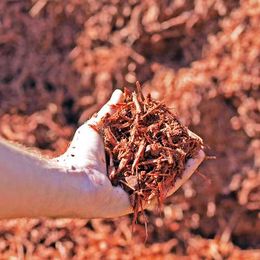 Why is It Important To Use Mulch In Landscapes and gardens?